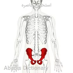 استخوان خاصره